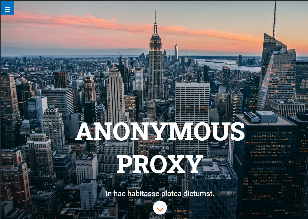 Screenshot of Anonymous Proxy web